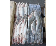 Горбуша ПСГ