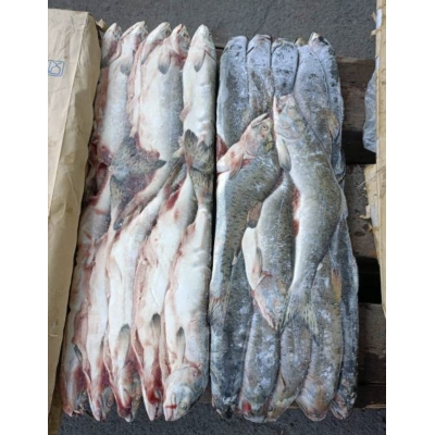 Горбуша ПСГ Горбуша ПСГ