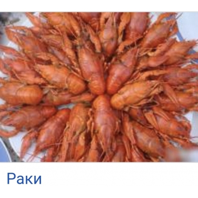 Раки в/м фас 1кг Раки в/м фас 1кг