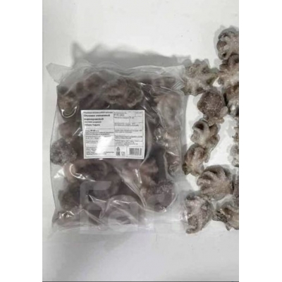 Осьминоги молодые Осьминоги молодые