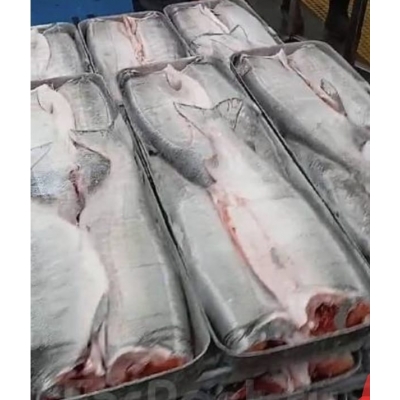 Кета ПБГ Кета ПБГ