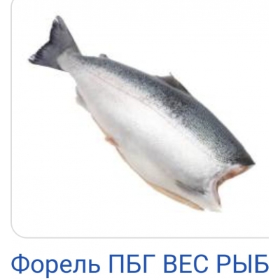 Форель ПБГ КНР L Форель ПБГ КНР L