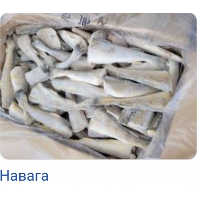 Навага без головы 22 кг Навага без головы 22 кг