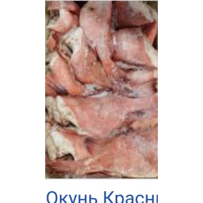 Красный окунь(берикс) 18 кг Красный окунь(берикс) 18 кг