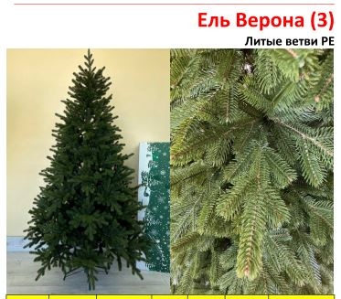 Ель Верона (3) Ель Верона (3)