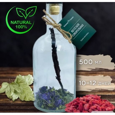 Сухая настойка “ВЕСЁЛАЯ СМОРОДИНКА” Сухая настойка “ВЕСЁЛАЯ СМОРОДИНКА”